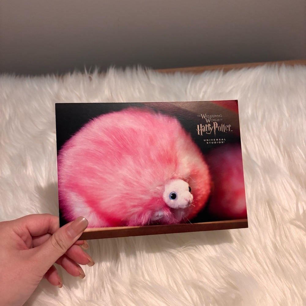 🌟10/$10 Harry Potter Pygmy Puff Postcard
